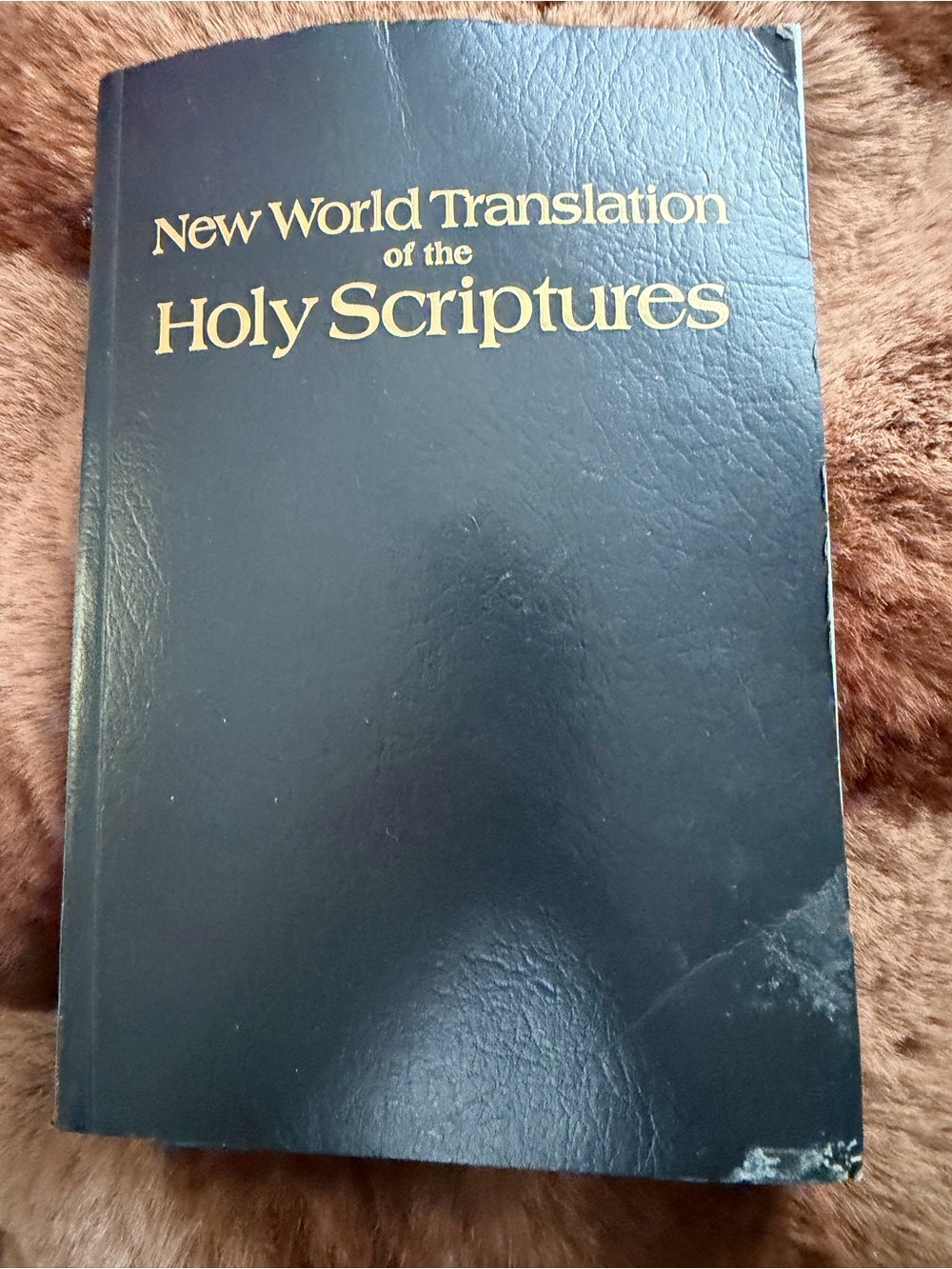 New World Translation of the Holy Scriptures Bible
